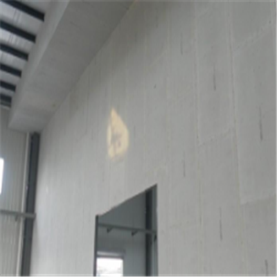 保德宁波ALC板|EPS加气板隔墙与混凝土整浇联接的实验研讨